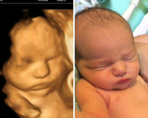 Services AlHakeem Radiology centre